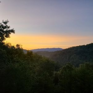 Meet your Posher, Allyson